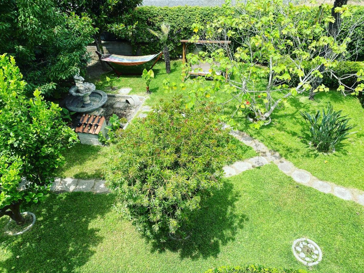 B&B Villa Dei Fiori ซานเตอูเฟเมีย ลาเมเซีย ภายนอก รูปภาพ