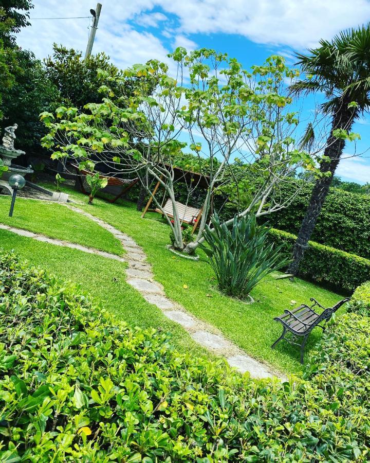 B&B Villa Dei Fiori ซานเตอูเฟเมีย ลาเมเซีย ภายนอก รูปภาพ