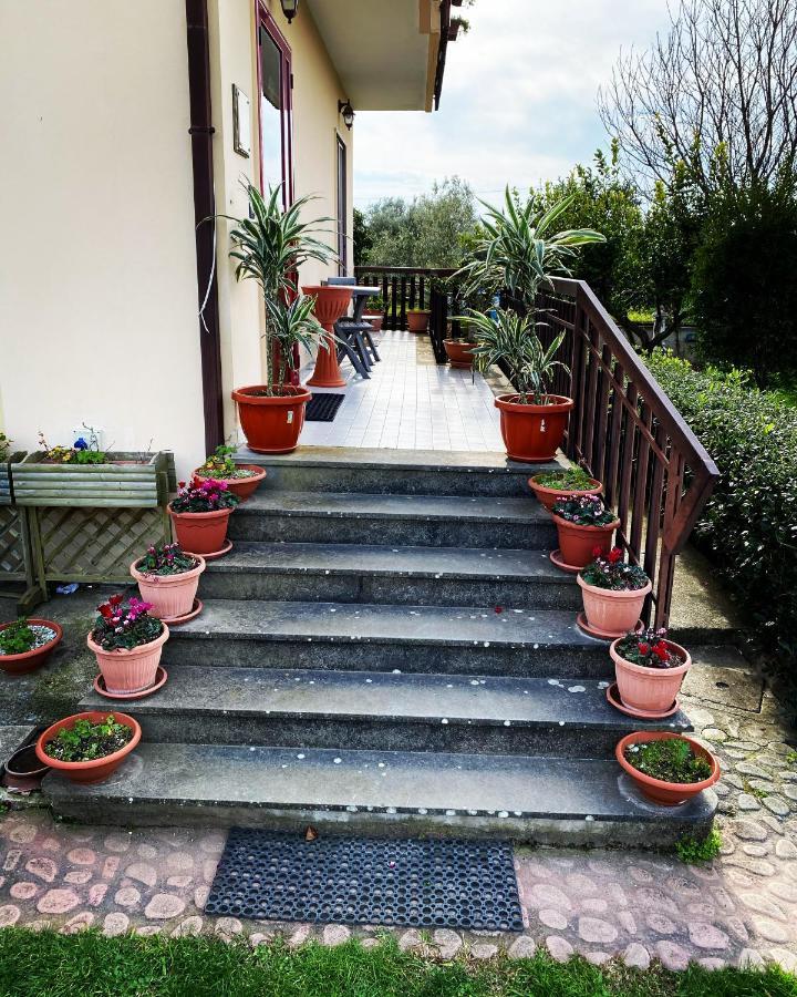 B&B Villa Dei Fiori ซานเตอูเฟเมีย ลาเมเซีย ภายนอก รูปภาพ