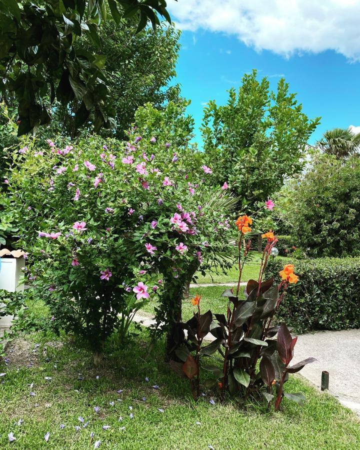 B&B Villa Dei Fiori ซานเตอูเฟเมีย ลาเมเซีย ภายนอก รูปภาพ