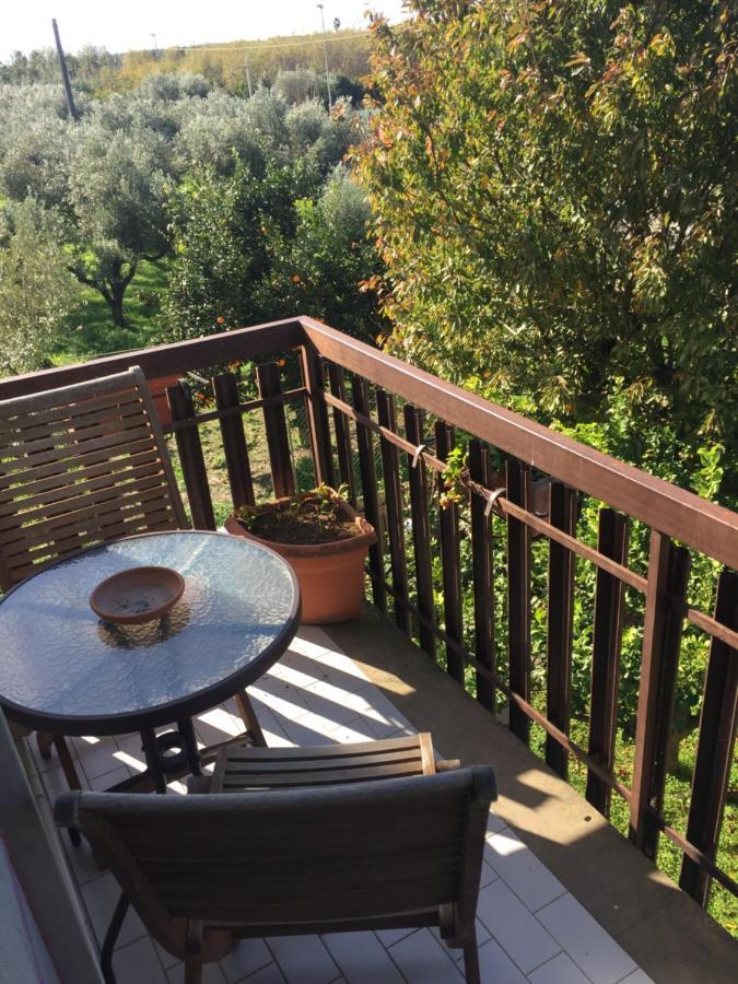 B&B Villa Dei Fiori ซานเตอูเฟเมีย ลาเมเซีย ภายนอก รูปภาพ